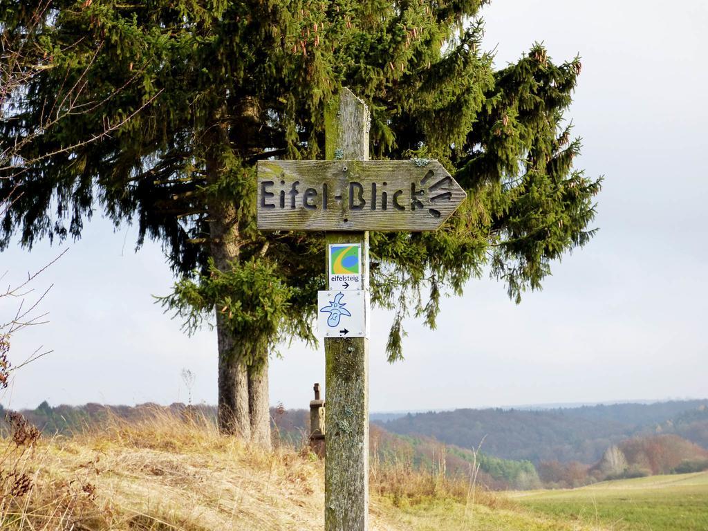 Вілла Relaxen Am Nationalpark Eifel Ahrhutte Екстер'єр фото