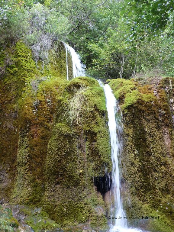 Вілла Relaxen Am Nationalpark Eifel Ahrhutte Екстер'єр фото